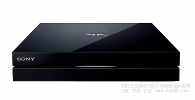 SONY FMP-X10