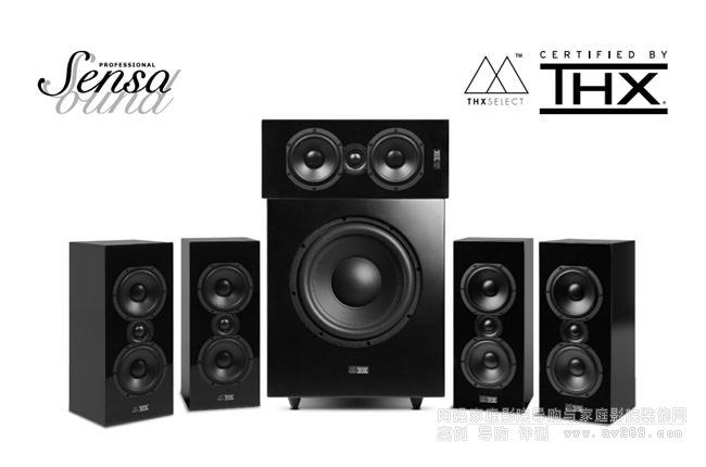 ���p����SensaSound TP800��������