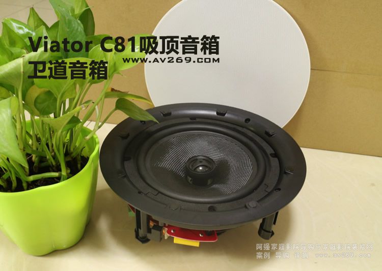 Viator�l(w��i)������C81������� Ƕ��ʽ8������