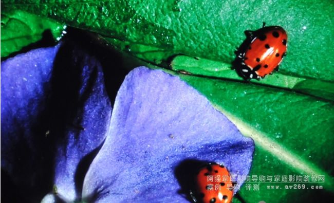 ͶӰ�C(j��)���z