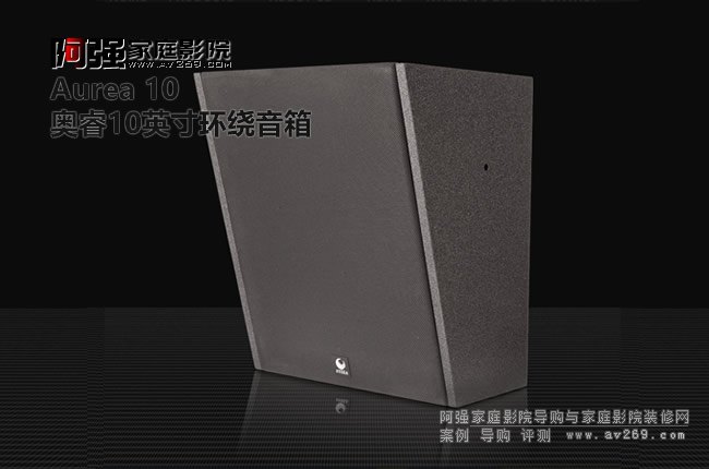 奧睿10英寸環(huán)繞音箱