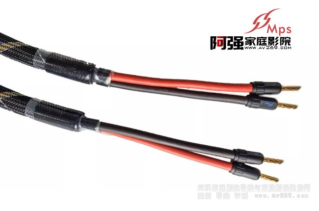 �OƷH-100SP���Ⱦ�