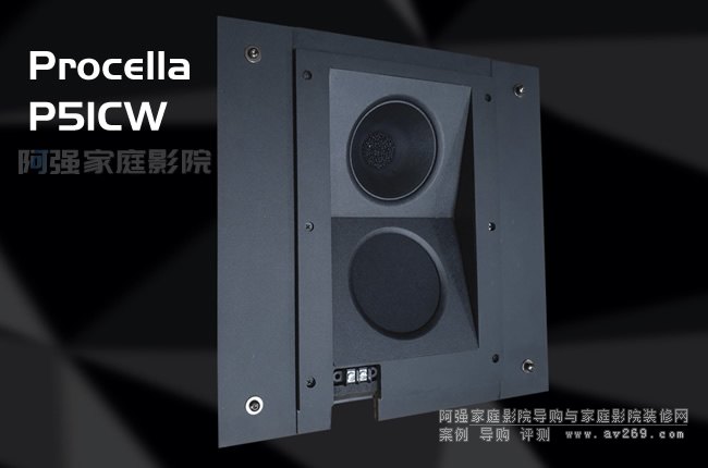 Procella ������б������P5ICW