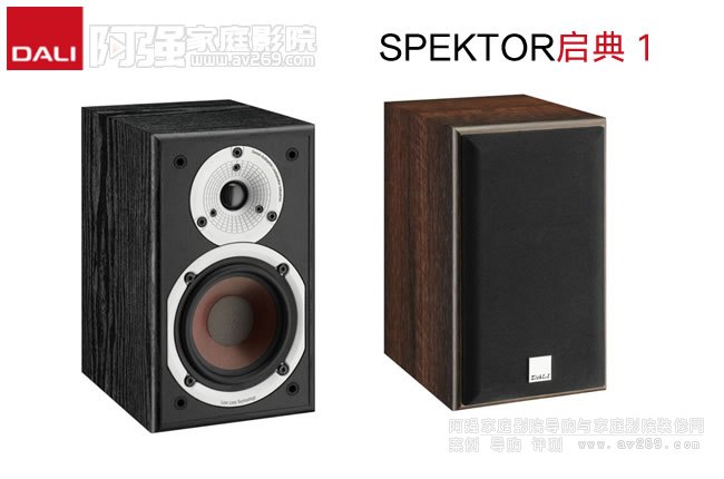 �����_��SPEKTOR����1��������