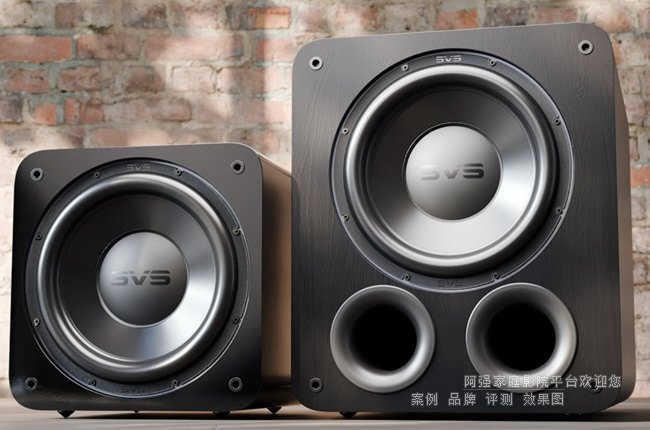 SVS 3000 R|Evolutionϵ�е����ڣ�������ӆ�Ԫ��DSP�͸������ʡ����F������